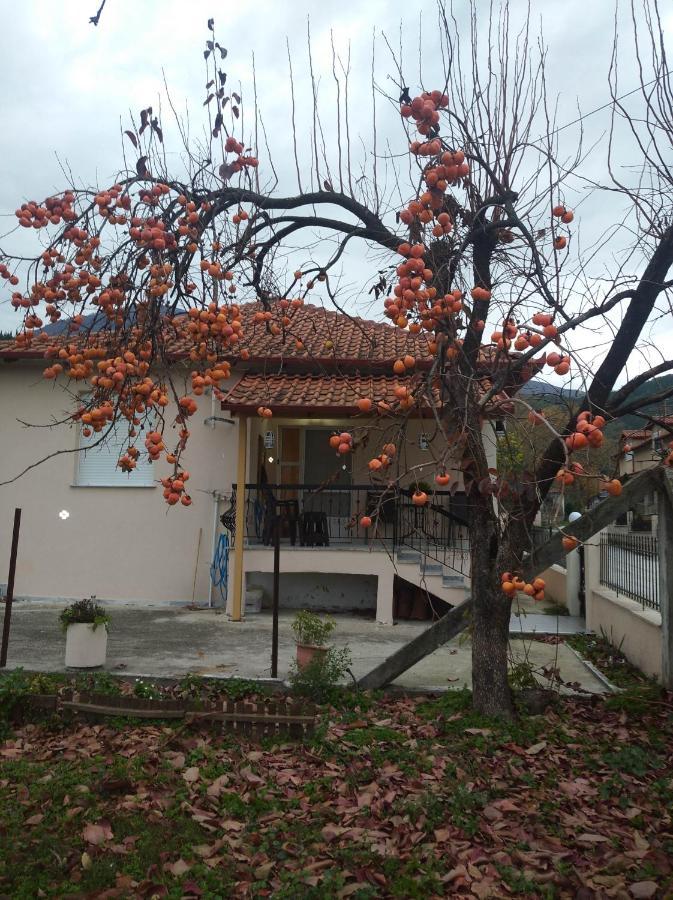Casa De Pozar Villa Likostomon Екстериор снимка